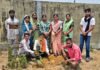 पर्यावरण दिवस पर उप सरपंच, पंच सहित भाजपा कुदमुरा मंडल के पदाधिकारी के द्वारा रजगामार मे किया गया वृक्षारोपण