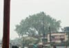 कोरबा जिले के दीपका गौरव पथ में कोयला परिवहन के खिलाफ छत्तीसगढ़िया क्रान्ति सेना के प्रदेश संगठन मंत्री उमागोपाल की जनहित याचिका पर हाईकोर्ट सख्त, अधिकारियों से मांगा जवाब