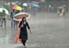कोरबा जिले में अब तक 907.4 मिलीमीटर औसत वर्षा, पिछले 24 घंटे में 39.4 मिमी बारिश
