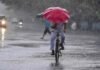 कोरबा में बारिश का आंकड़ा 1000 मिलीमीटर के पार, अब तक 1002.8 मिमी औसत वर्षा दर्ज