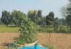 कोरबा में भूजल स्तर बढ़ाने की पहल, 1.32 करोड़ से बनेंगे 234 बोरवेल रिचार्ज पिट